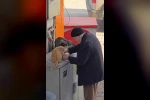 Yaşlı adamın sokak kedilerine şefkati yürekleri ısıttı