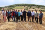 Yatağan’da hasat şenliğine yoğun katılım