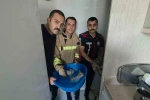 Yavru kediler duvarın kırılmasıyla kurtarıldılar