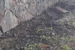 Yavuzeli’nde nohut büyüklüğünde dolu yağdı 