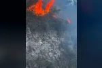 Yayladağı’nda ormanlık alanda çıkan yangın kontrol altına alındı