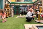 Yaz tatilinde dünyaca ünlü Van kedilerine ziyaretçi akını