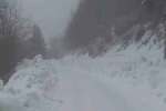 Yedigöller Milli Parkı yolunda kar yağışı etkili oluyor