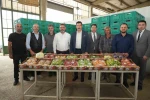 Yenişehir’in tarım ürünleri Libya yolunda
