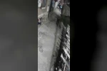 Yerleşim alanına inen ayılar köy sakininden korkup kaçtı