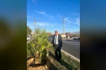 Yeşil Sultanhisar için ağaçlandırma çalışmaları sürüyor