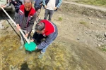 Yığılca’da derelere 50 bin kırmızı benekli alabalık yavrusu bırakıldı