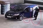 Yılan giren araca binmek isteyince korku dolu anlar yaşadı