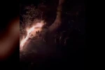 Yıldırım isabet eden asırlık ağaç alev aldı