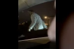 Yol verme tartışmasında 2 kişiyi bıçakla yaralayan şahıs tutuklandı