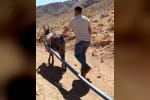 Yolalan’da eşeklerle su seferberliği