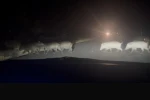 Yolun karşısına geçen domuz sürüsü şaşırttı
