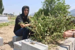 Yolunu gözlediği iki çocuğunun babası kazada can verdi