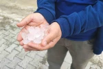 Yozgat’ta dolu tarım alanlarını vurdu, köylüler afet bölgesi ilanı istedi