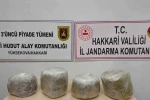 Yüksekova’da 11 kilo skunk ele geçirildi