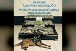 Yüksekova’da 30 kilo Skunk ele geçirildi: 2 şüpheli gözaltında