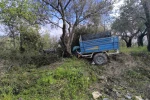 Zeytin bahçesine uçan patpatın sürücüsü öldü