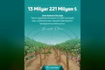 Zirai dondan etkilenen çiftçilere 13 milyar 221 milyon lira destek ödemesi yapılacak