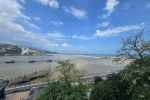 Zonguldak Limanı yağışların ardından sarıya büründü