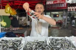 Zonguldak’ta istavrit tezgahta 100 liradan satıldı