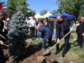 10. yılda 10 yetişkin ağaç toprakla buluştu

