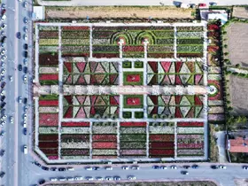 190 çeşit gül görsel şölen sunuyor