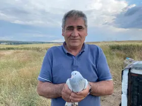 43 yıldır süren güvercin tutkusu
