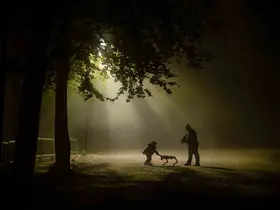 7120 fotoğraf arasından seçildi...Şehrin ışıklarının en güzel kareleri belli oldu
