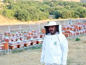 Abadan Bal Ormanı’nda yeni sezon bal hasadı
