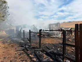 ABD’nin Nevada eyaletindeki orman yangınında 32 ev kül oldu
