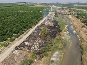 Adana’da Deliçay Deresi’nin çevresi çöplüğe dönüştü
