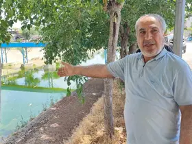 Adana’da sivrisinek istilasına vatandaş tepkisi: "Çocuklarımız yara içinde kaldı"
