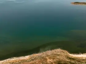 Adilcevaz’da Van Gölü sahili yeşile büründü
