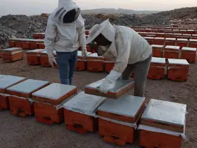 Adıyaman’da 2026 yılı bal fiyatları açıklandı
