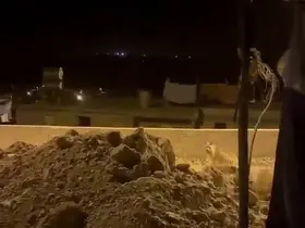 Adıyaman’da çizgili sırtlan evlerin bahçesinde görüntülendi

