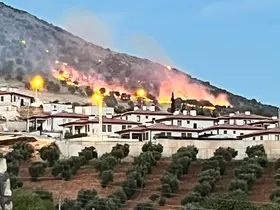 Adıyaman’da ormanlık alanda korkutan yangın
