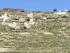 AFAD’dan Şırnak’ta güvenlik hamlesi: Riskli kayalar tek tek patlatıldı
