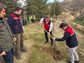 Afyonkarahisar’da 2 bin kestane fidanı toprakla buluşturuldu
