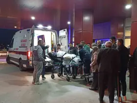 Ağabeyini tüfekle vurdu
