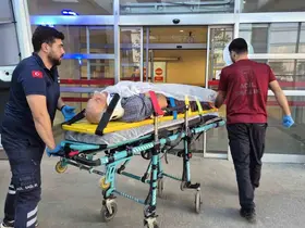 Ağaç keserken düşen yaşlı adam yaralandı
