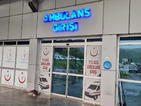 Ağaçtan düşen adam, merdiveni tutan kişiyi de yaraladı
