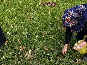 Ağrı’da kadınlar bahar otlarını topluyor
