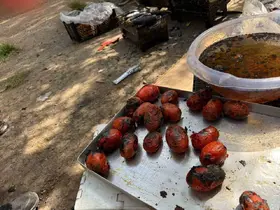 Ağrı’da kış hazırlıkları başladı
