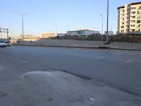 Ahırdan kaçan buzağı, kara yoluna çıkınca sürücülere zor anlar yaşattı
