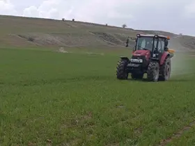 Ahlat’ta buğday tarlalarında gübre mesaisi
