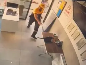 Akaryakıt istasyonunda kedinin saldırdığı kargayı görevli kurtardı
