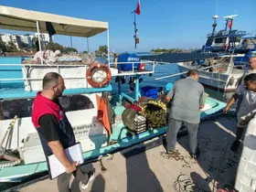 Akçakoca’da balıkçılar sezona hızlı başladı
