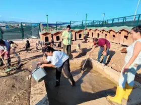 Akdeniz’de hayvan barınağında iyileştirme çalışması başlatıldı
