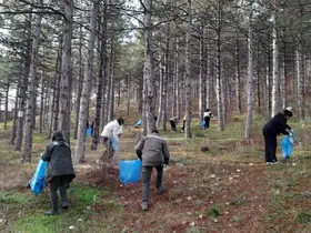 Akşehir'de orman yangınlarına karşı örnek çalışma