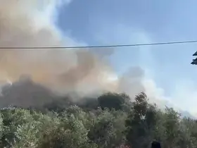 Aksu’da ormanlık ve zeytinlik alanda yangın
